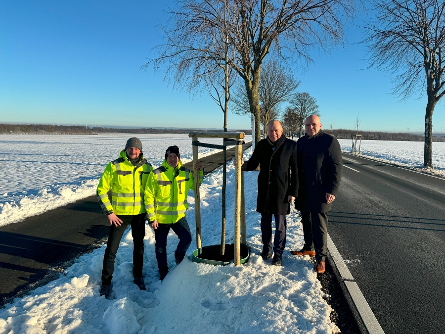 Freuen sich über eine der neugepflanzten Linden entlang der K37 bei Büren-Ahden: Thomas Finke (Kreisstraßenbauamt), Timm Rosenthal (Kreisstraßenbauamt), Landrat Christoph Rüther und Roland Hüser (Geschäftsführer des Paderborn-Lippstadt Airports und Ideengeber für die Bepflanzung an der K37, v.l.). Foto: Kreis Paderborn Freuen sich über eine der neugepflanzten Linden entlang der K37 bei Büren-Ahden: Thomas Finke (Kreisstraßenbauamt), Timm Rosenthal (Kreisstraßenbauamt), Landrat Christoph Rüther und Roland Hüser (Geschäftsführer des Paderborn-Lippstadt Airports und Ideengeber für die Bepflanzung an der K37, v.l.). Foto: Kreis Paderborn